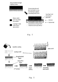 Process of loaded hydrogel