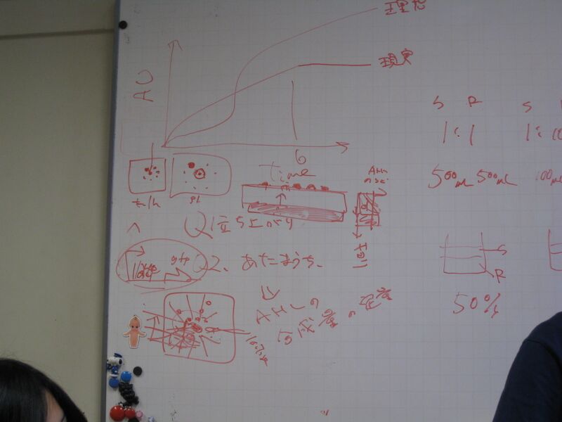 File:Chiba 14aug1.JPG