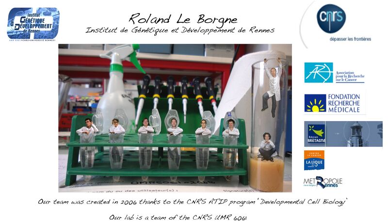 File:Home page team.jpg