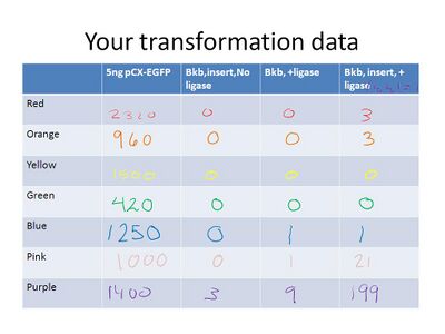 Transformation data from T/R lab