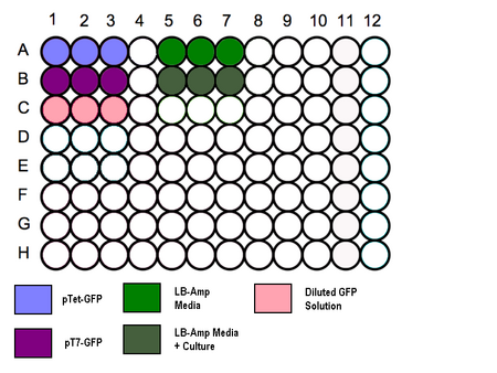 In vivo Testing 96 well plate