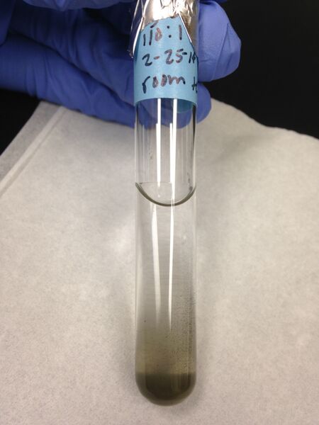 File:110 original.jpg