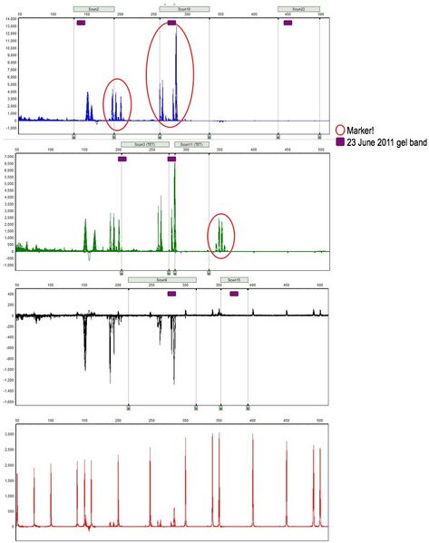 File:20110707 DataConfusion.jpg