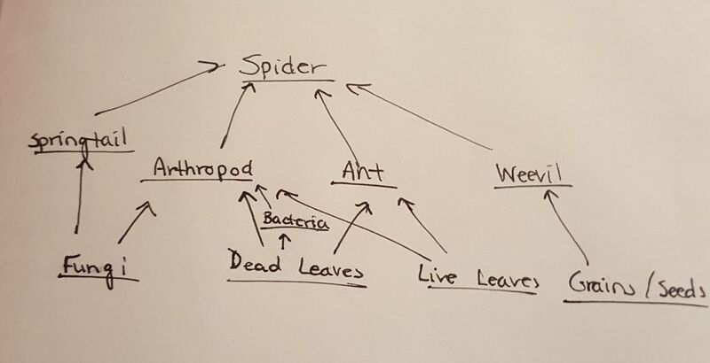 File:20160224 173039.jpg