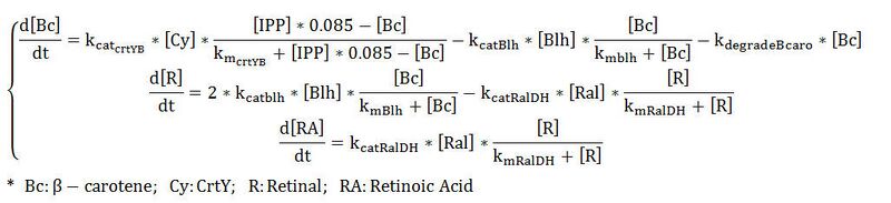 File:IPP RA equation.jpg