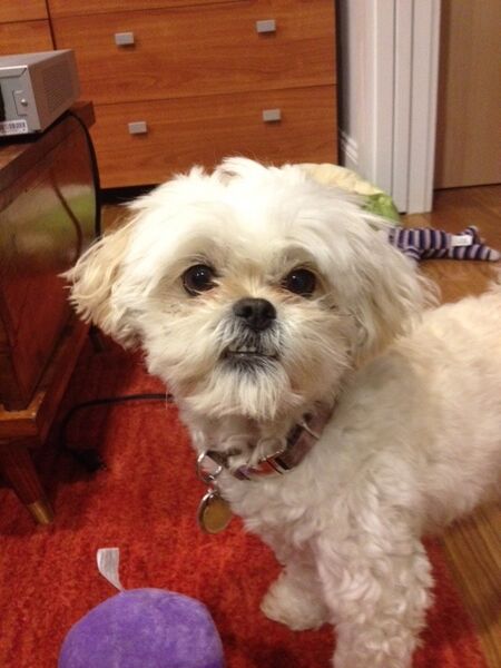 File:Smiling butter.jpg