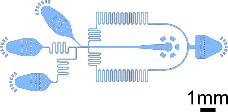 File:VASA generator.png