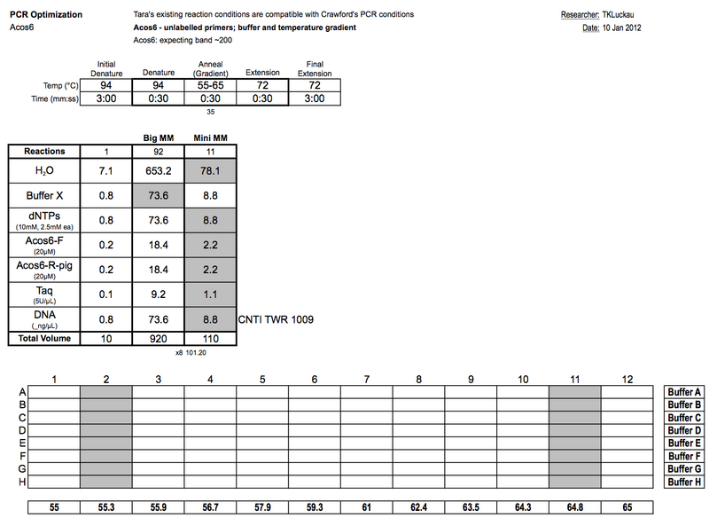 File:20120110 PCRb.png