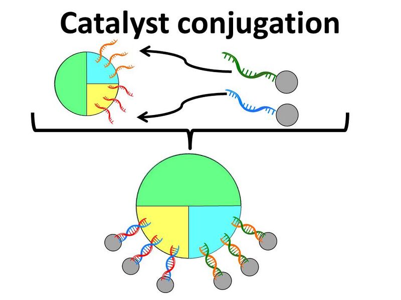 File:Catalyst conjugation 2.jpg