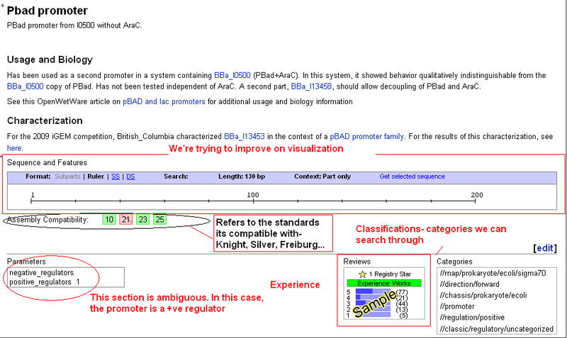 File:IC Bioinfs sample promoter entry.png