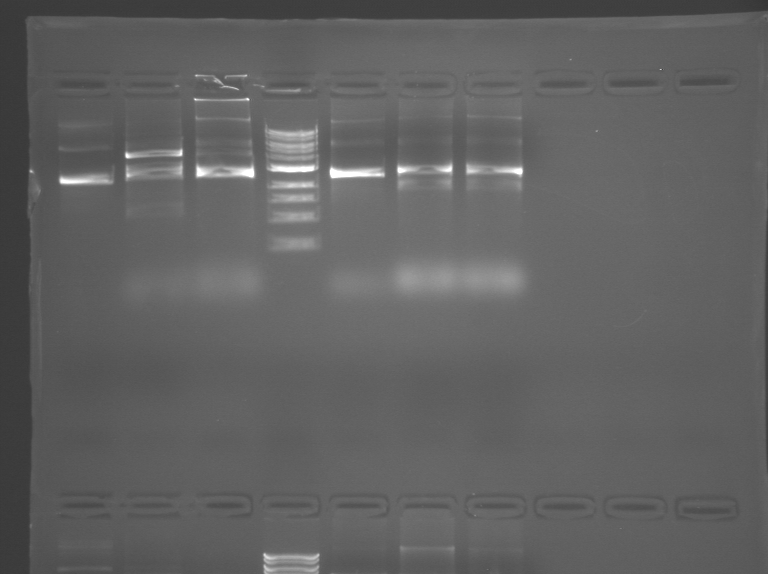 File:S09 M1D5 WF Orange.BMP