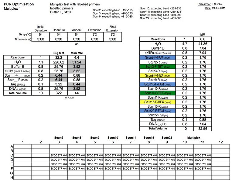 File:20110623 PCR.jpg