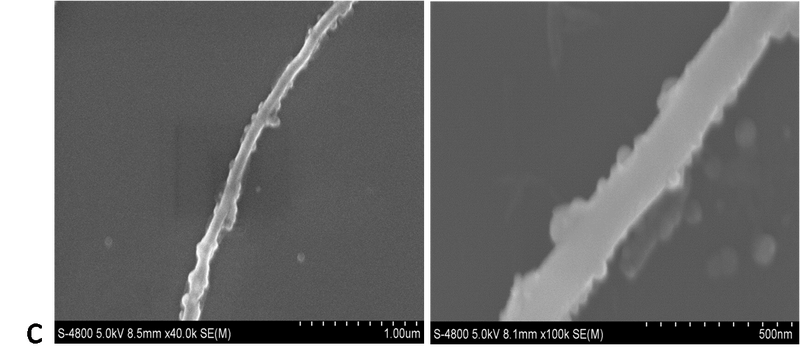 File:Biomod tianjin results 23.png