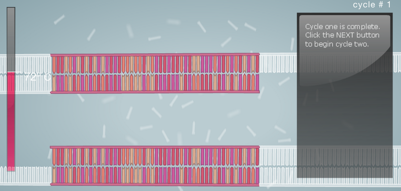 File:Cycle1 done.PNG