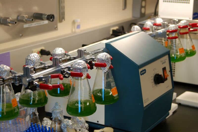 File:McArthur work.JPG