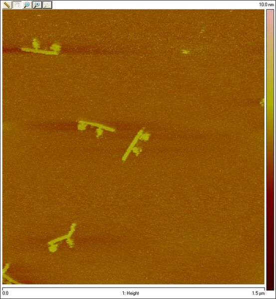 File:Old UtoK LK Khashi U3.000.jpg