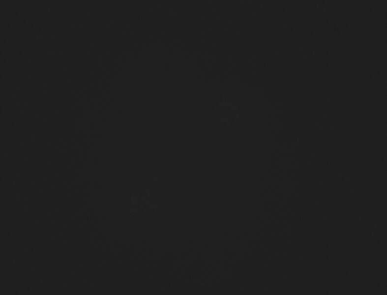 File:Liacwasnotempalexa2 - normalized.jpg