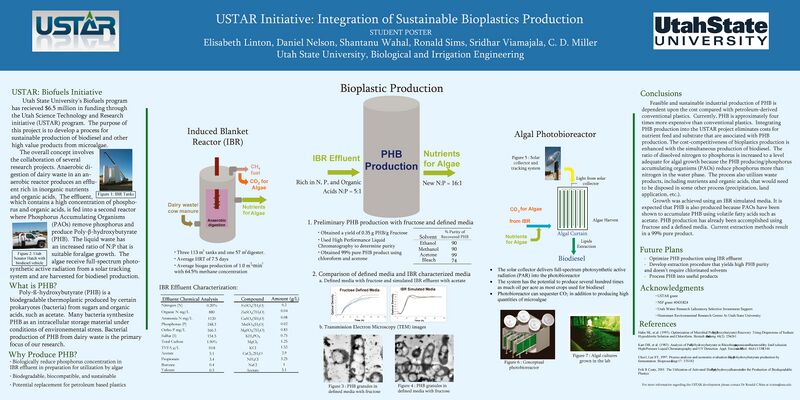 File:Libby and Dan IBE Poster.jpg