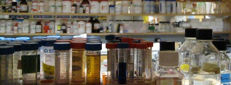 File:Macintosh HD-Users-nkuldell-Desktop-labbottles.png