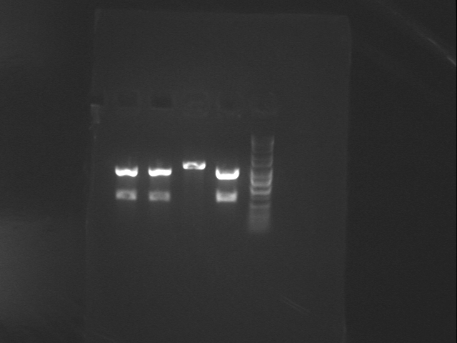 File:PJ23006-J23009 1-4.jpg