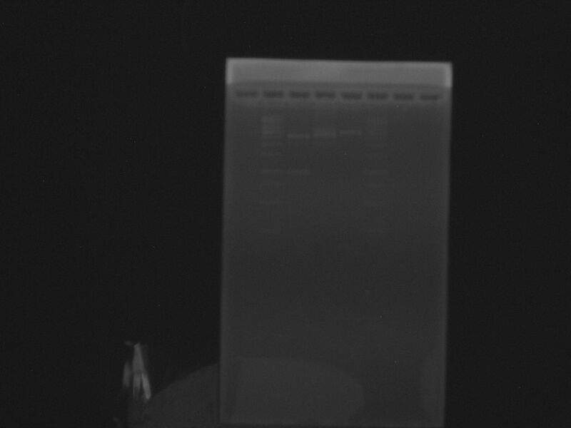 File:Plasm pSB1AK3 260410 1.JPG