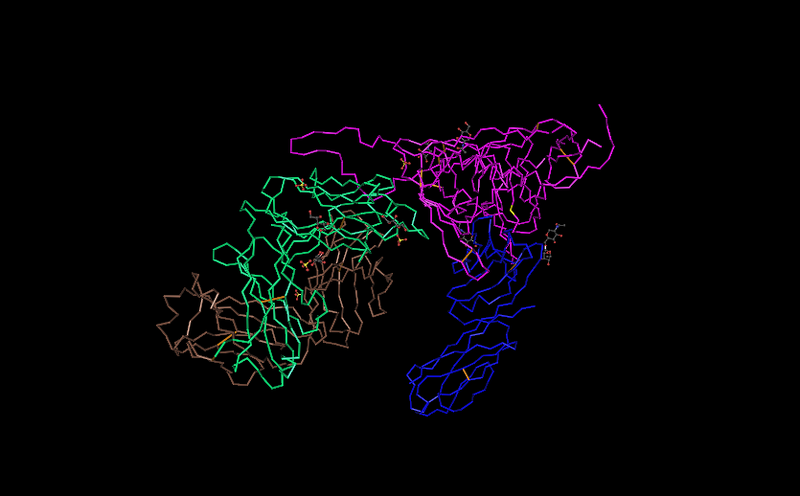 File:S13V5-6 Amino Acid Change -avm -biol368.png