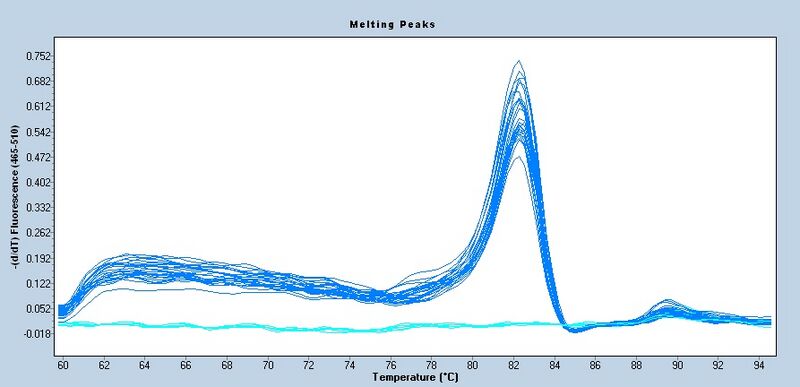 File:S14 M3D5 WF 18S-melt.jpg