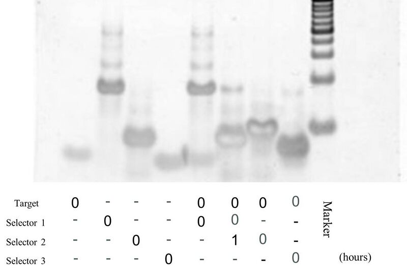 File:20120821 ②.jpg