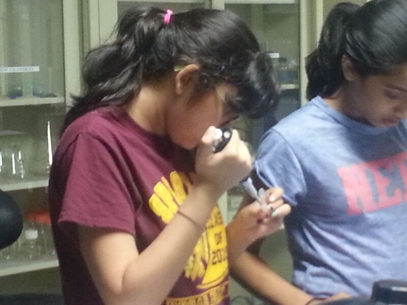 File:20140809 105859.jpg