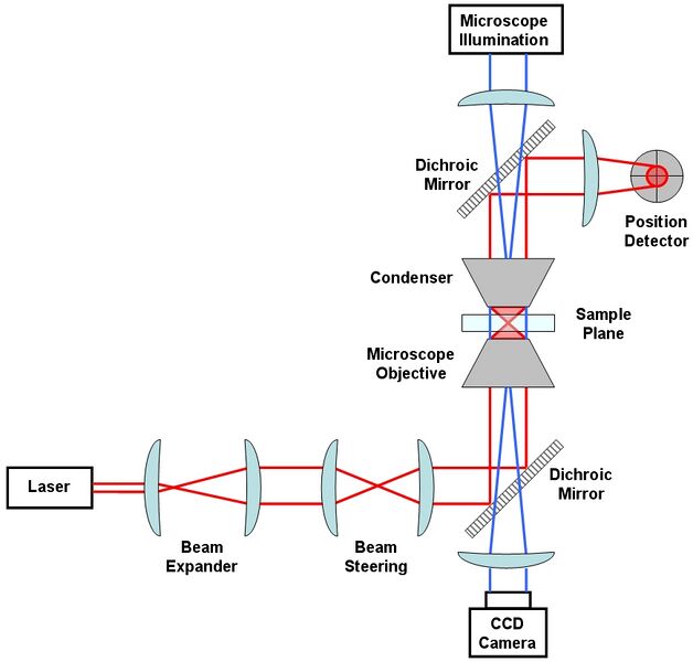 File:Generic Optical Tweezer Diagram RockyRacoon Wikipedia.jpg