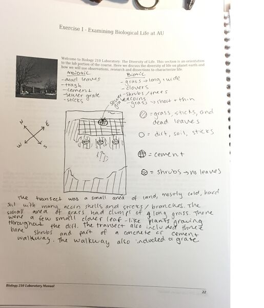 File:Image-IMG 0742.jpg