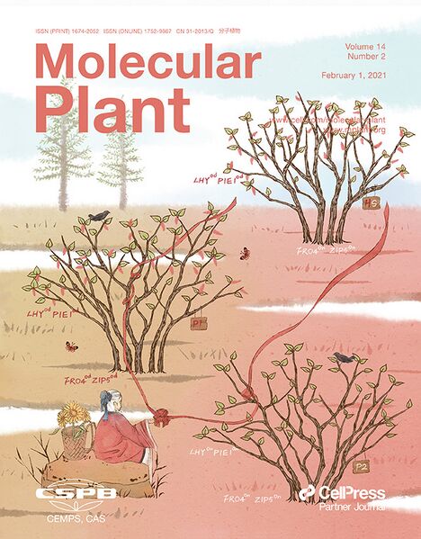 File:Mol Plant cover.tif.jpg