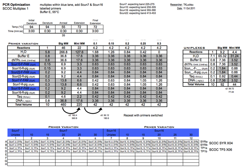File:20111011 PCRa.png