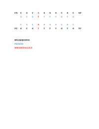 Heterotaxy PCR primer design