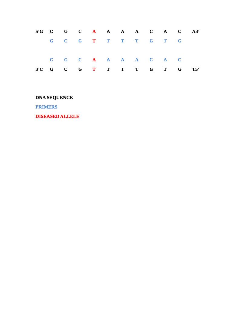 Heterotaxy PCR primer design