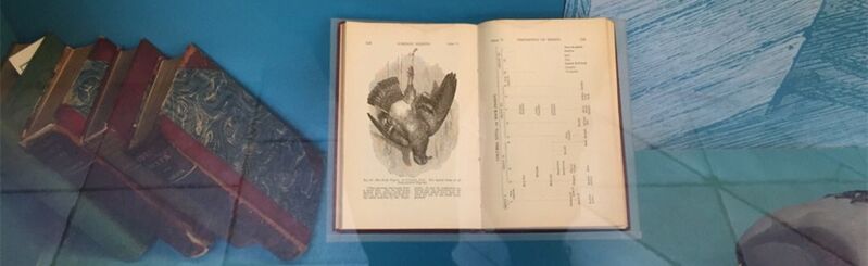 File:Xlarge s6uq 426b000631be1e83.jpg