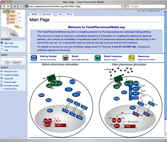 File:Yeastpheromonemodel home page.png