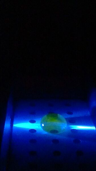 File:SYBR Green and DNA CalfThymus.jpg