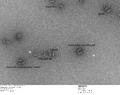Thumbnail for version as of 20:52, 22 October 2011