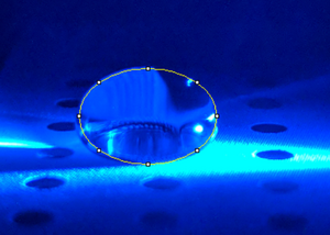 H2O μg/mL Calf Thymus DNA