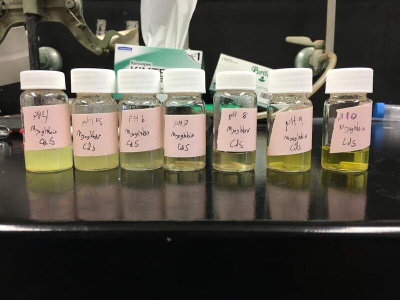 File:CdQD one day pH 4-10.jpg