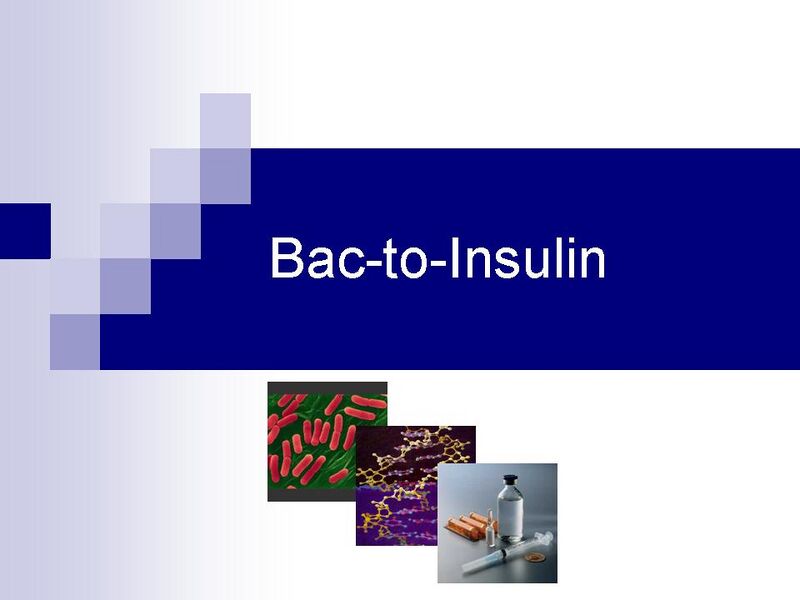 File:IC2007 InsuSlide1.JPG