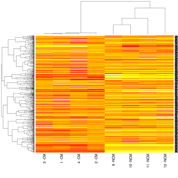 File:M1.heatmap.png