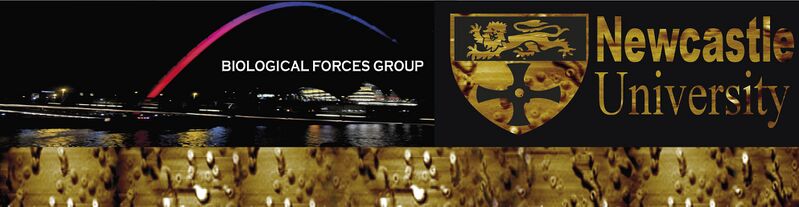 File:New banner 4.jpg