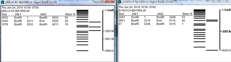 File:Untitled picture4.png