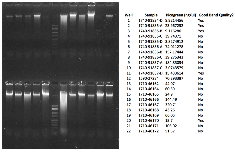 File:WIFL NAU 1740-91834D.png