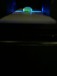 Description of image