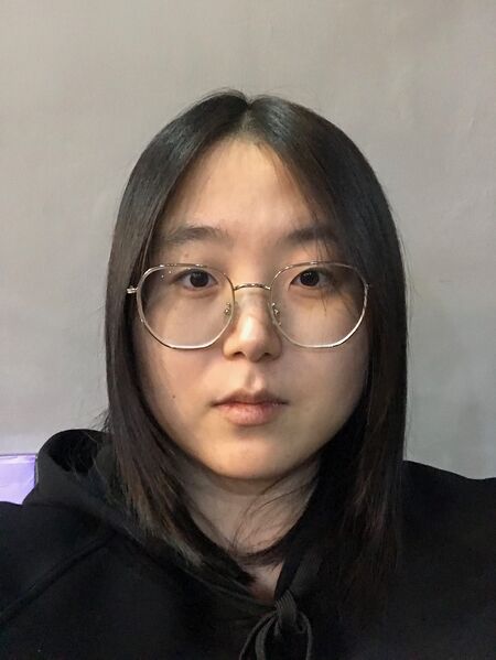 File:Xinlei Gao.jpeg