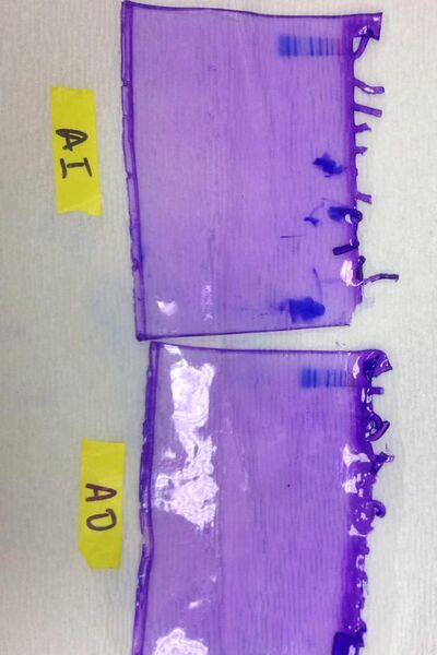 File:11134235 10205059533466235 680314354 n (1).jpg