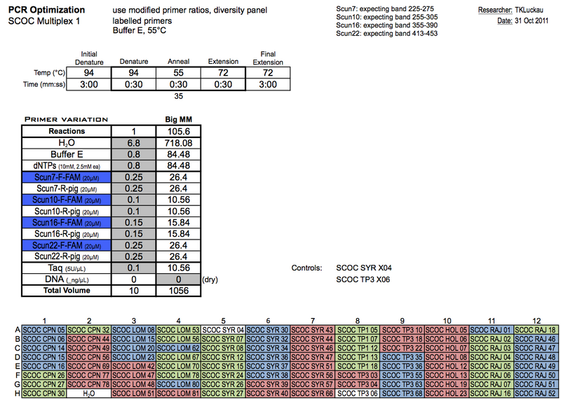 File:20111031 PCRa.png